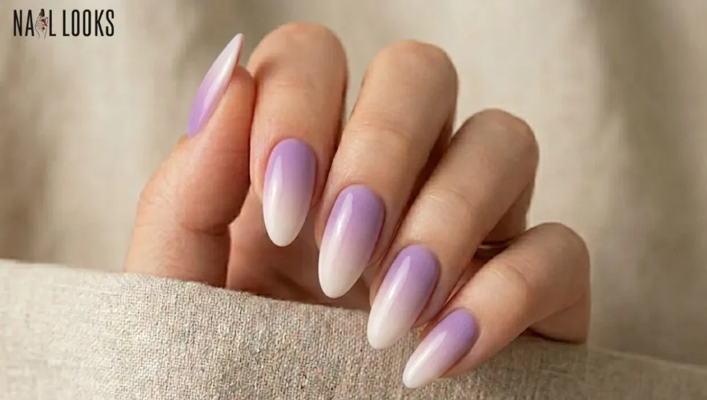 Lavender Ombre