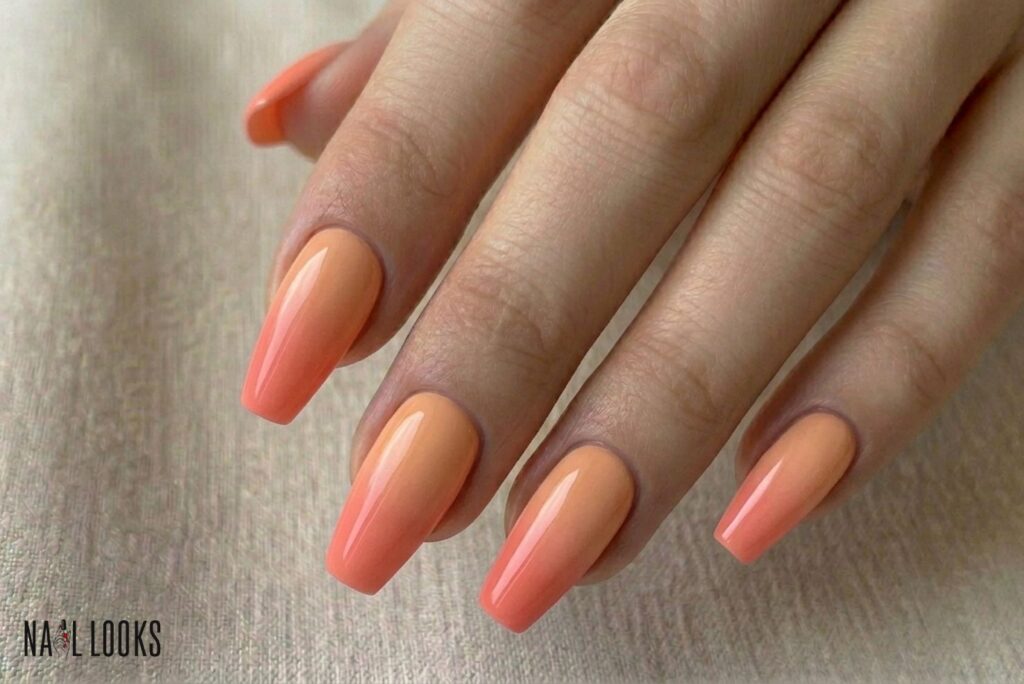 Peach and Coral Gradient