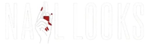 niallooks footer logo